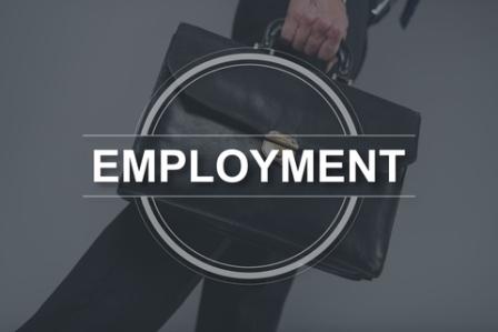 employment-report-2018-Queens-NY-mortgage-broker